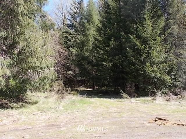 Listing photo 3 for 0 Morris Rd, Randle WA 98377