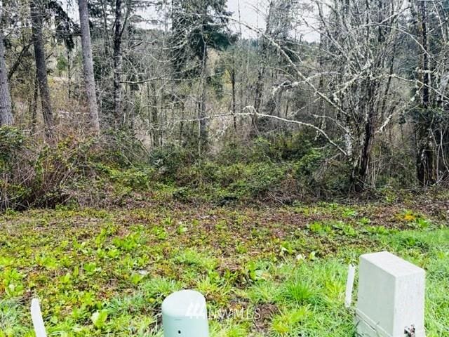 1618 Maple Valley Dr, Centralia, WA 98531