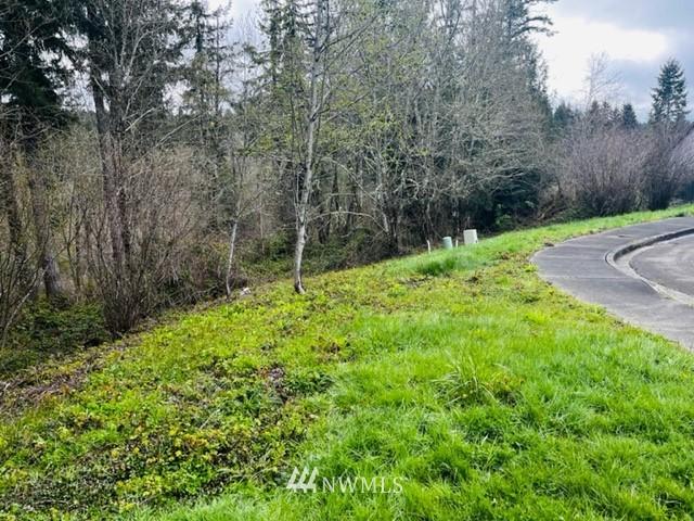 1618 Maple Valley Dr, Centralia, WA 98531