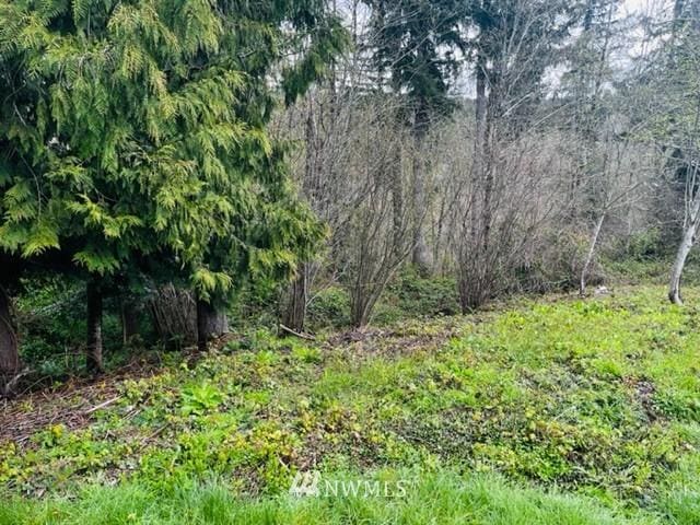 1618 Maple Valley Dr, Centralia, WA 98531