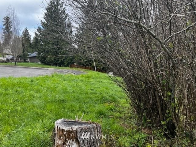 1618 Maple Valley Dr, Centralia, WA 98531
