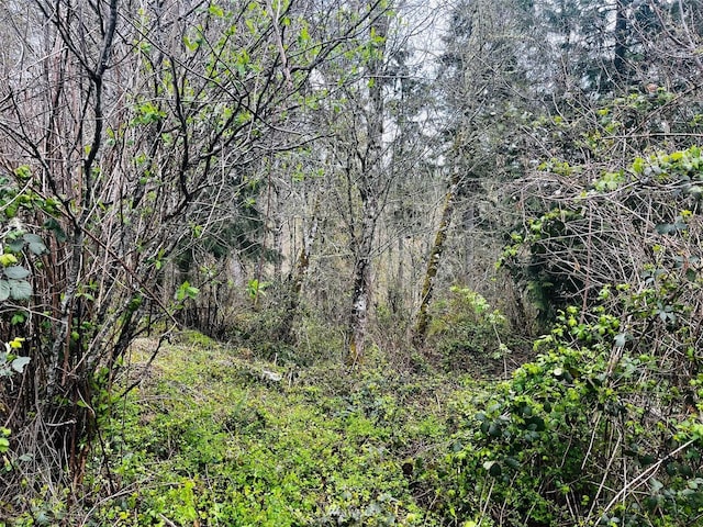 1618 Maple Valley Dr, Centralia, WA 98531