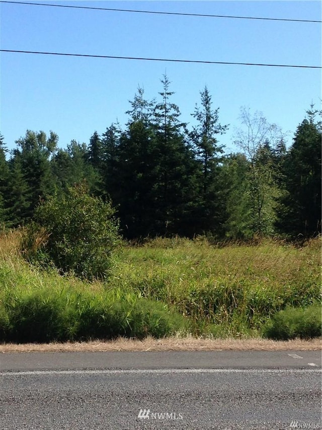 Listing photo 3 for 0 Birch Bay Lynden Rd, Custer WA 98240