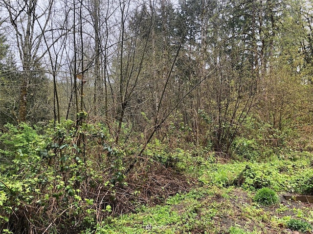 0 NE Taylor Way, Chehalis WA, 98532 land for sale