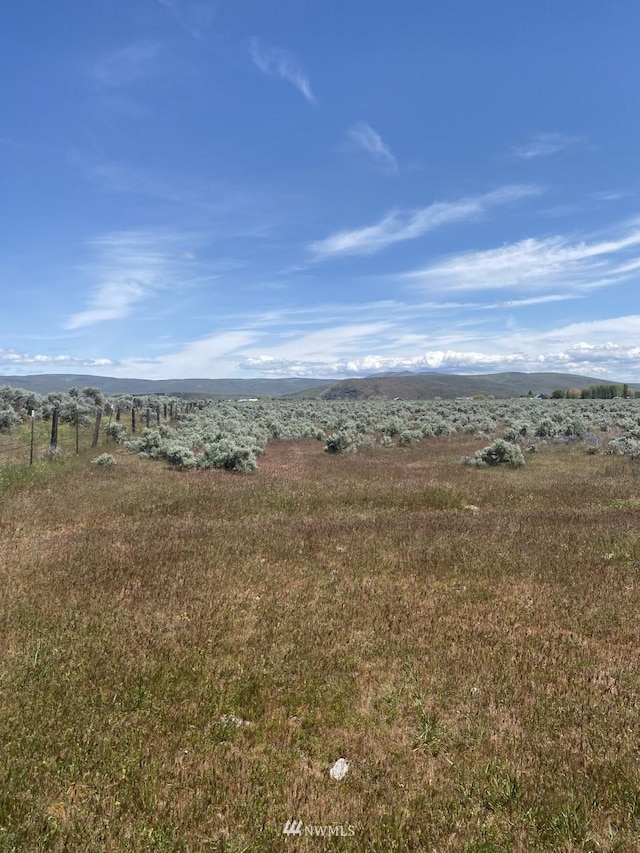 1160 Lester Rd, Ellensburg WA, 98926 land for sale