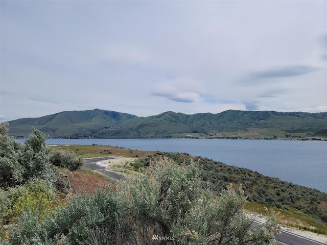 Listing photo 3 for 203 Easton Way, Chelan WA 98816