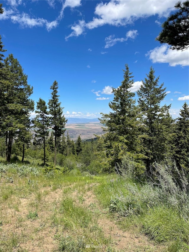 103 Fir Rd, East Wenatchee WA, 98802 land for sale