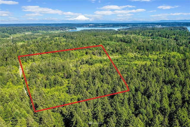 14416 Sandberg Rd, Anderson Island WA, 98303 land for sale