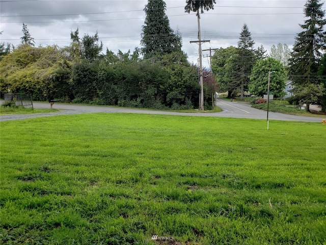 0LOT1 Lake Ave, Snohomish, WA 98290 - photo 5