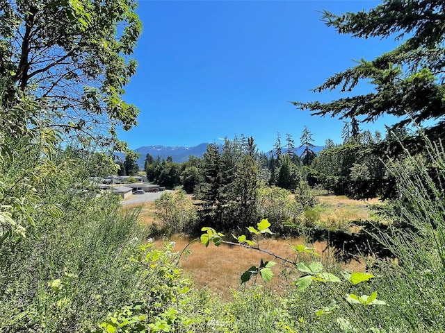 0 W 8th St, Port Angeles, WA 98363 - photo 8