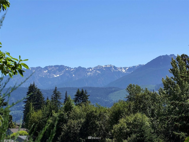 0 W 8th St, Port Angeles, WA 98363 - photo 9
