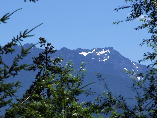 0 W 8th St, Port Angeles, WA 98363 - photo 10
