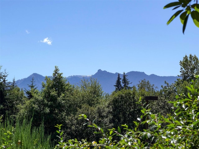 0 W 8th St, Port Angeles, WA 98363 - photo 11