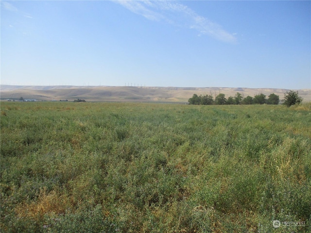 Listing photo 2 for 0LOT52 Thurber Rd, Touchet WA 99360