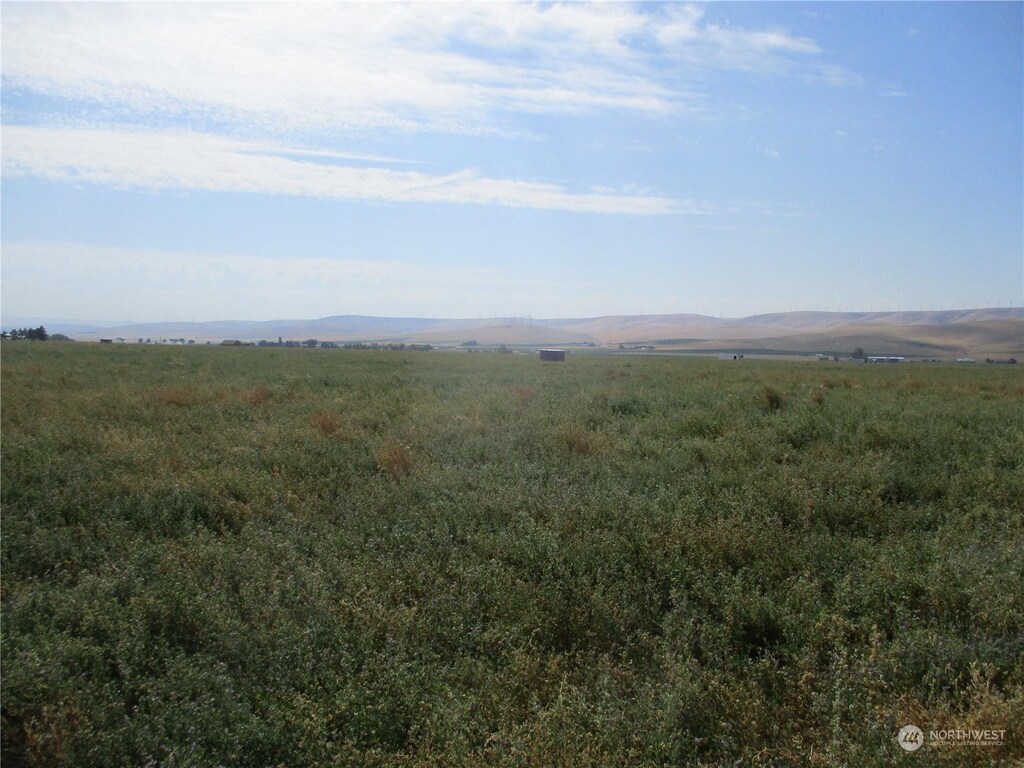 0LOT53 Thurber Rd, Touchet, WA 99360 - photo 1