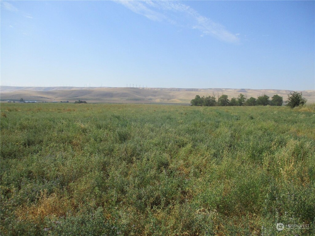 0LOT53 Thurber Rd, Touchet, WA 99360 - photo 2