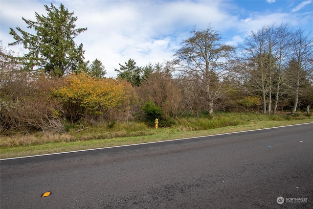 Listing photo 3 for 956 Mt Olympus Ave SE, Ocean Shores WA 98569