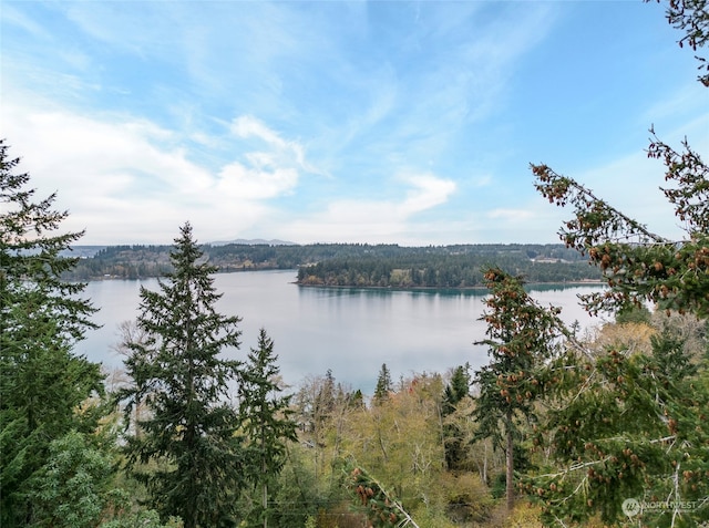 Listing photo 3 for 12406 Cole Point Dr, Anderson Island WA 98303