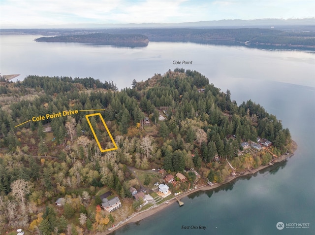 12406 Cole Point Dr, Anderson Island WA, 98303 land for sale