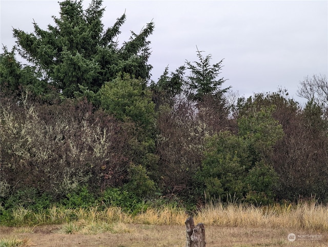 Listing photo 3 for 864 Cuddy Ct NW, Ocean Shores WA 98569