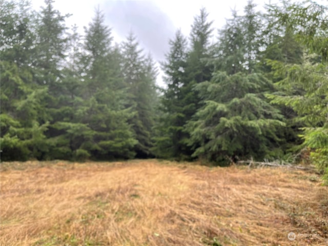 3XX Oppelt Rd, Onalaska, WA 98570