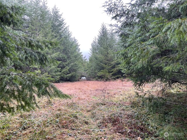 3XX Oppelt Rd, Onalaska, WA 98570