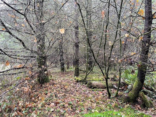 3XX Oppelt Rd, Onalaska, WA 98570