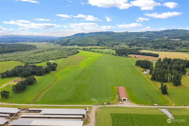 drone / aerial view with a mountain view and a rural view