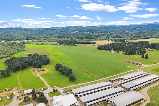 bird's eye view with a mountain view and a rural view