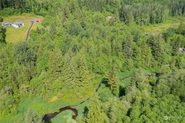 0 NE Elliott Rd, Yacolt, WA 98675
