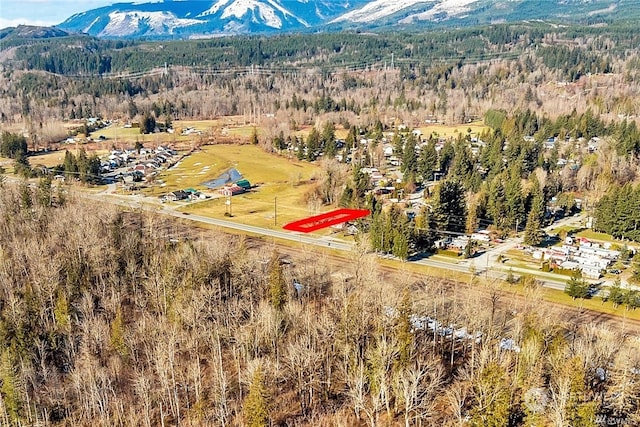 615 Croft Ave W, Gold Bar, WA 98251