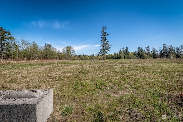 4506 Meridian St, Bellingham, WA 98226 - photo 4
