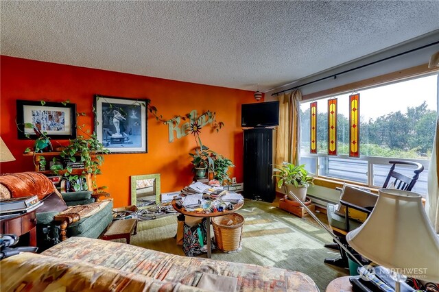 living room with a textured ceiling