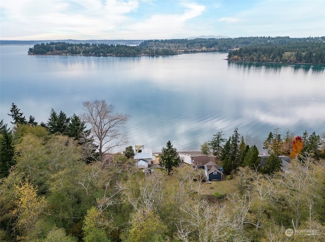 12410 Cole Point Dr, Anderson Island WA, 98303 land for sale