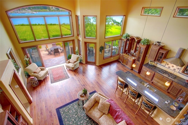 living room with a high ceiling, light hardwood / wood-style flooring, and sink