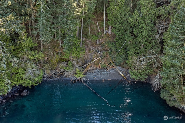 0 Tibbs Lndg, Shaw Island, WA 98250