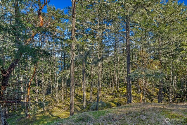 0 Tibbs Lndg, Shaw Island, WA 98250