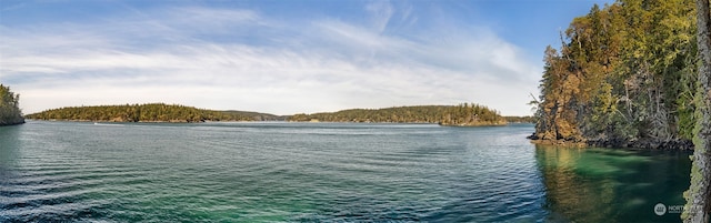 0 Tibbs Lndg, Shaw Island, WA 98250