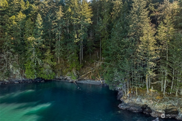 0 Tibbs Lndg, Shaw Island, WA 98250