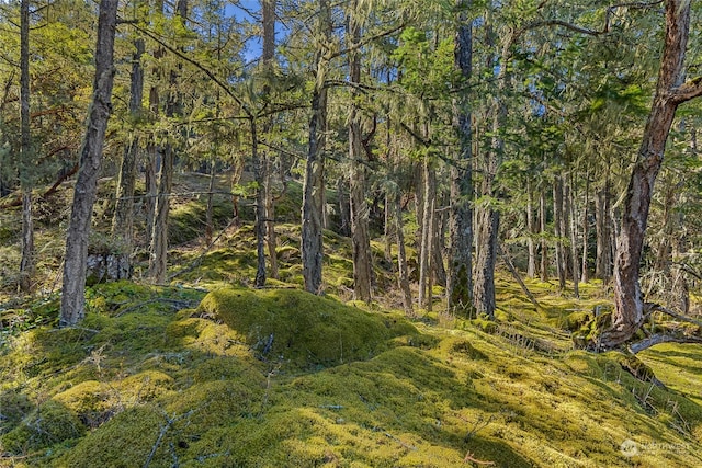 0 Tibbs Lndg, Shaw Island, WA 98250