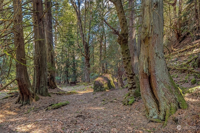 0 Tibbs Lndg, Shaw Island, WA 98250