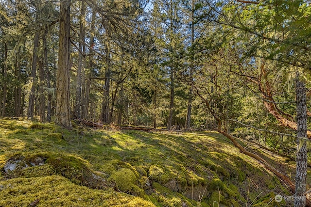 0 Tibbs Lndg, Shaw Island, WA 98250