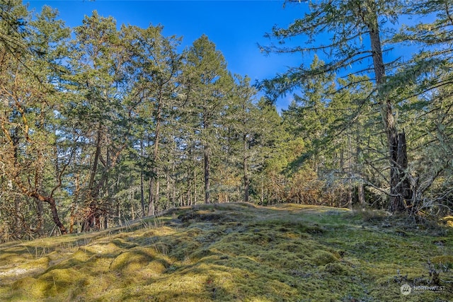 0 Tibbs Lndg, Shaw Island, WA 98250