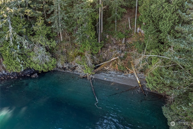 0 Tibbs Lndg, Shaw Island, WA 98250