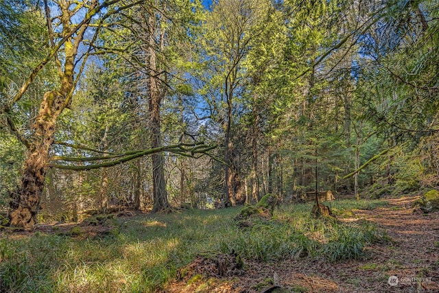 0 Tibbs Lndg, Shaw Island, WA 98250