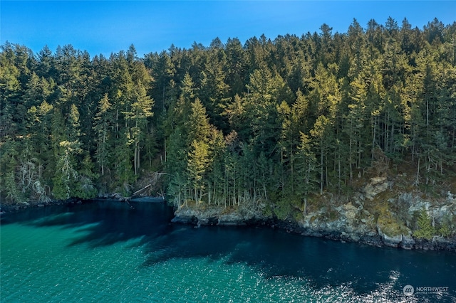 0 Tibbs Lndg, Shaw Island, WA 98250