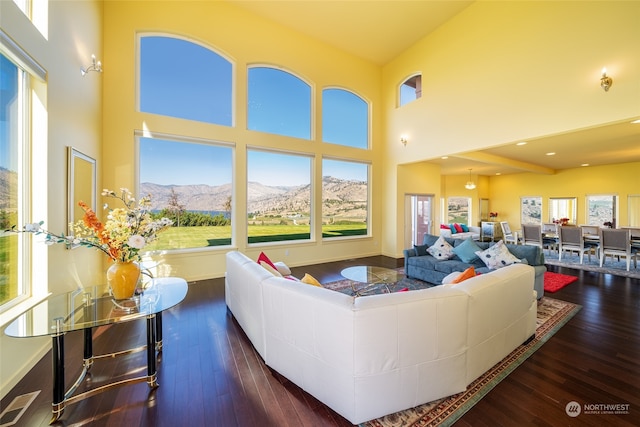 living room with a mountain view, dark hardwood / wood-style floors, and a towering ceiling