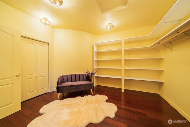 spacious closet featuring dark hardwood / wood-style flooring