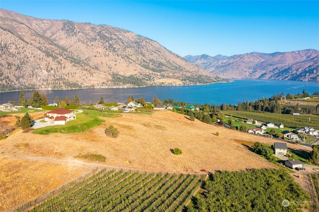 bird's eye view featuring a water and mountain view and a rural view