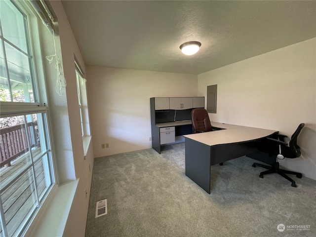 653 Sunset Ave NE, Ocean Shores, WA 98569 - home office featuring a textured ceiling and light colored carpet